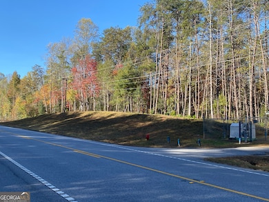 2171 Hollywood Hwy, Clarkesville, GA 30523 - photo 2