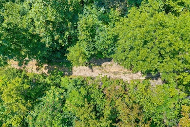 5 Lyle Hollow Rd, Palmyra, TN 37142 - photo 3