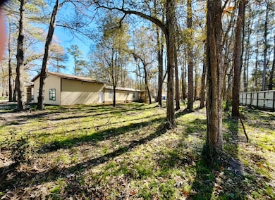 Back yard view