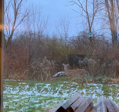 deer lower level