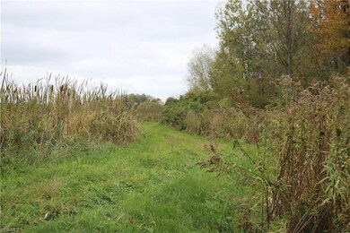 0 N Richmond Rd, Pierpont, OH 44082 - photo 2