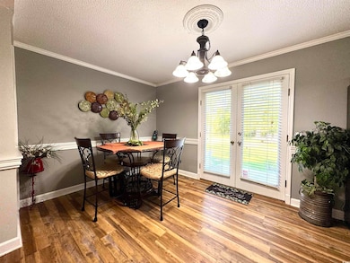 317 Wheeler Rd, Andrews, SC 29510 - photo 6