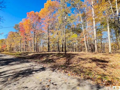 740 Jay Wheeler Rd, Columbia, KY 42728 - photo 4