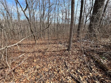 0 Hollow Way Dr, Bella Vista, AR 72715 - photo 6