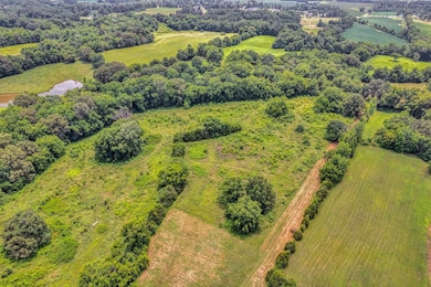 0 Holly Grove Rd, Covington, TN 38019 - photo 4