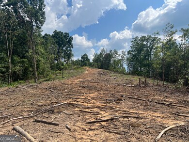 2055 Blacks Bluff Rd SW, Rome, GA 30161 - photo 5