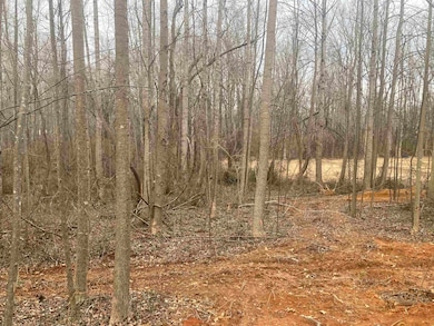 163 Rockingham Rd, Duncan, SC 29334 - photo 2