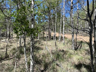 55 Deer Ct, Como, CO 80432 - photo 3