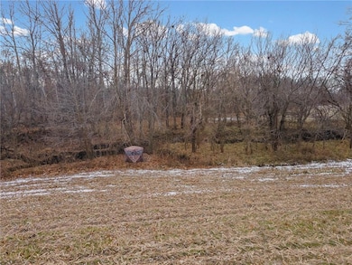 0 Hwy 65 & Cr 210 Hwy unit HMS2592020, Bogard, MO 64622 - photo 2