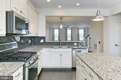 23241 Carters Meadow Terrace, Ashburn, VA 20148 - photo 6