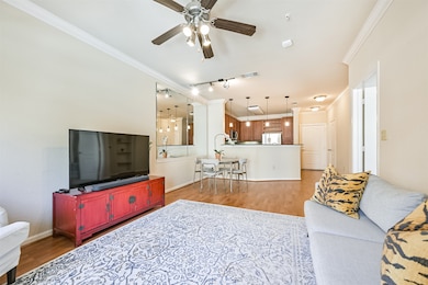 The Valencia unit 340, Houston, TX 77054 - photo 3