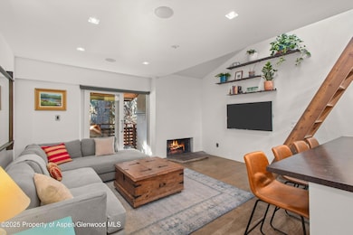 910 W Hallam St unit 11, Aspen, CO 81611 - photo 3