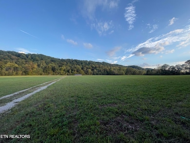 517 Paint Rock Valley Road