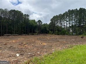 2949 Rosebud Rd, Snellville, GA 30078 - photo 3