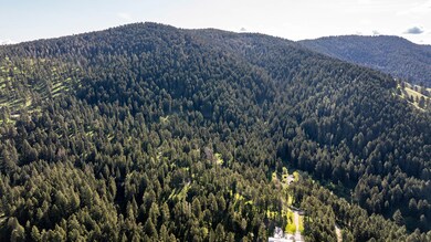 3600 Cottonwood Ranch Trail, Bozeman, MT 59718 - photo 2