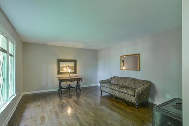 Large sunlit living room