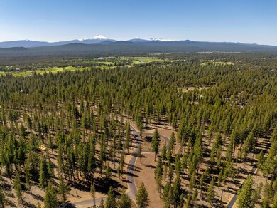 DJI_0347