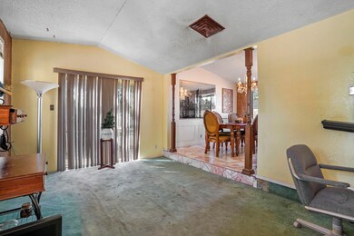 DSC04562 (1) - Copy - Copy - Copy