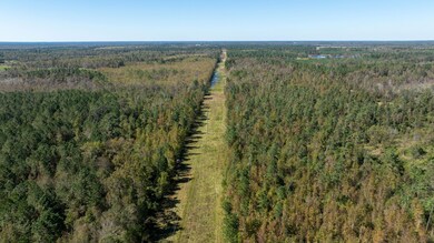 0 Highway 17 unit 21752659, Midville, GA 30441 - photo 2