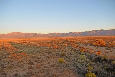 Lot 36-40 Rio Del Oro unit 3, Los Lunas, NM 87031 - photo 4
