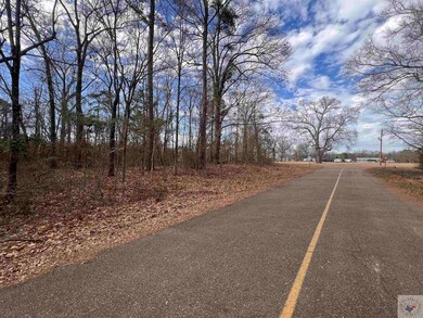 0 Joe Thomas Rd unit 114052, Texarkana, TX 75501 - photo 3