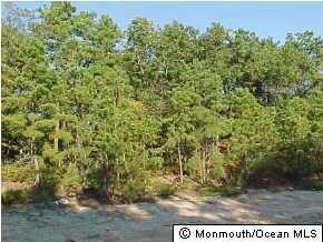 5 Spy Glass Ave, Barnegat, NJ 08005 - photo 5