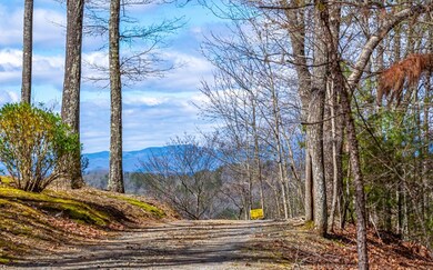 LOT 4LW Katydid Rd, Mineral Bluff, GA 30559 - photo 5