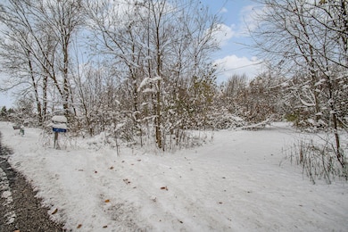 17285 Williamsville St, Cassopolis, MI 49031 - photo 2