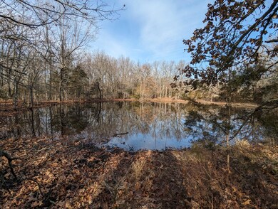 image000000(14)