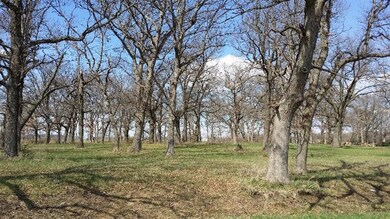 119 E 900 S, Kouts, IN 46347 - photo 4