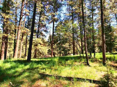 12 Long Dr unit 6W1/2, Mayhill, NM 88339 - photo 6