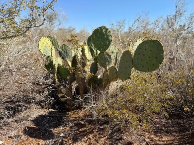 0 County Road 203 unit 25565276, San Jose, TX 78332 - photo 2