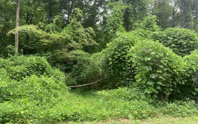 Additional View