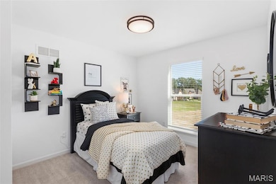 2 Aspen II at Riverstone, Florissant, MO 63031 - photo 4