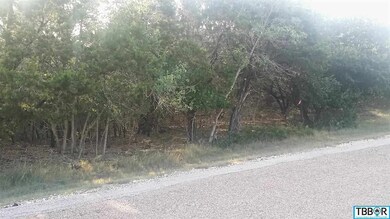 5152 Goliad Dr, Temple, TX 76502 - photo 4