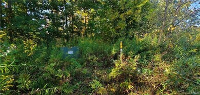 0 Cross Creek Lot 32 Dr unit S1651276, Clay, NY 13090 - photo 6