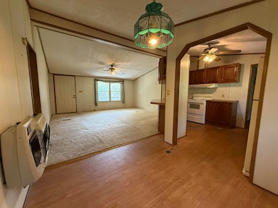 412 Hartline Rd, Trenton, GA 30752 - photo 7