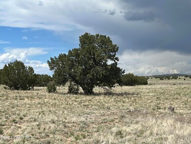 13b Antelope Run Rd, Ash Fork, AZ 86320 - photo 2