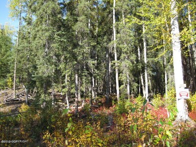 20100920021845645623000000-o