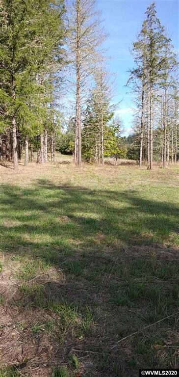 24322 Gellatly Way, Philomath, OR 97370 - photo 5