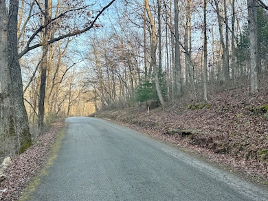 Lot 14 Hensley Rd, East Bernstadt, KY 40729 - photo 7