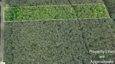 00 Shrine Club Rd, Waterloo, SC 29384 - photo 4