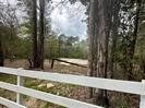 Beautiful 2.17 Acre Lot in Gated Estats of “Teaswo