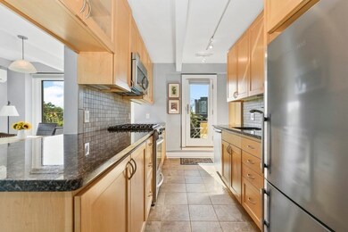 45 Trowbridge St unit PH, Cambridge, MA 02138 - photo 7