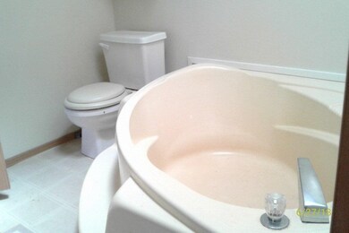 5215 Adams St, Merrillville, IN 46410 - photo 5