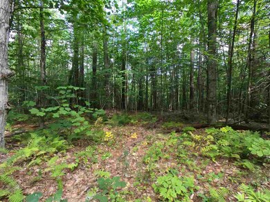 0 Beech Hill Rd unit 13 4773150, Warren, NH 03279 - photo 7