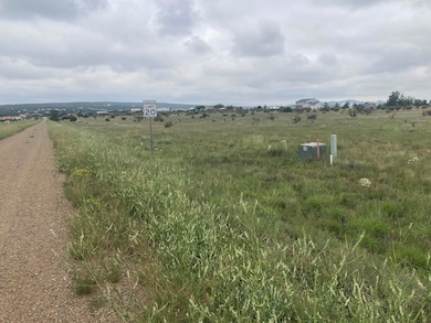 33 Rory Rd, Edgewood, NM 87015 - photo 5