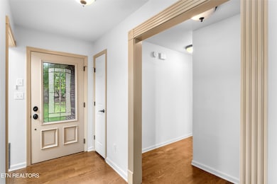 407 Tecumseh Point, Loudon, TN 37774 - photo 5