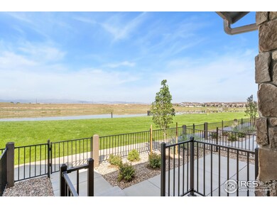 6228 Vernazza Way unit 2, Windsor, CO 80550 - photo 4