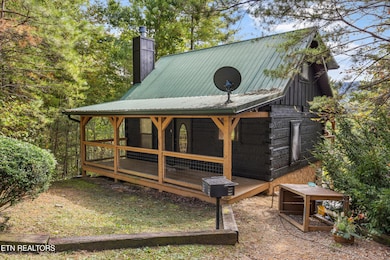 4206 Mountain Rest Way, Sevierville, TN 37876 - photo 3